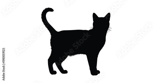 A striking black cat profile captured in a minimalist silhouette