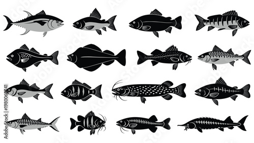 Extensive collection of various fish silhouettes in grey and black, representing different species for fishing and nature themes.