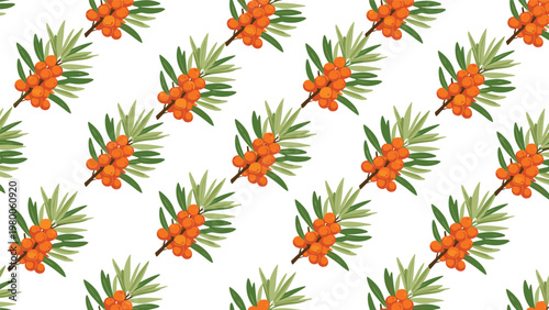 Vibrant seamless pattern of sea buckthorn branches with clusters of orange berries and green leaves on a clean white background.