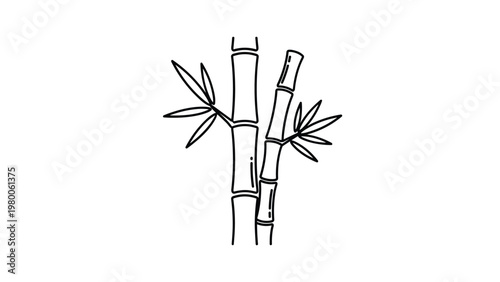Simple black and white line drawing of bamboo stalks with leaves represents Asian nature and Zen aesthetic for minimalist design.