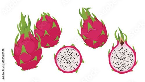 Colorful illustration of whole and halved dragon fruits displays the vibrant pink skin and speckled white flesh of this exotic fruit.