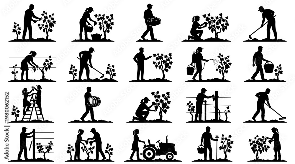 Fototapeta premium Collection of Silhouettes Illustrating Vineyard Farming Activities and Grape Harvesting Season