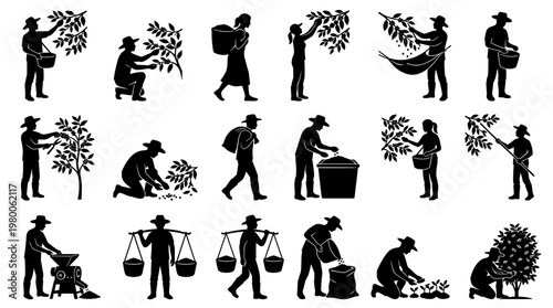 Collection of diverse agricultural workers harvesting crops and carrying produce in baskets and sacks, illustrating farming and rural labor.