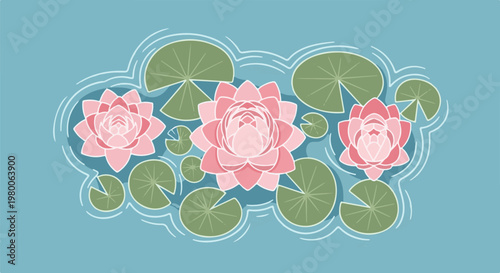 Three pink water lilies float serenely on blue water with lily pads