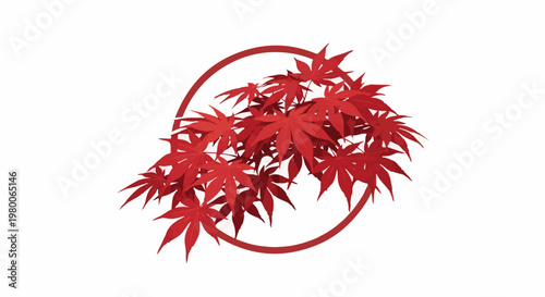 Red maple leaves form a cluster within a crimson circle on a white background