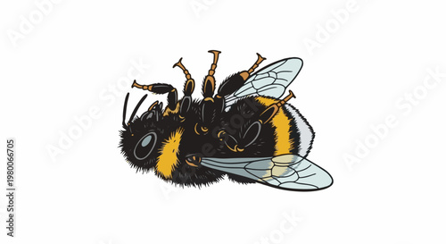 Fluffy bumblebee with black, yellow, and white stripes, detailed illustration