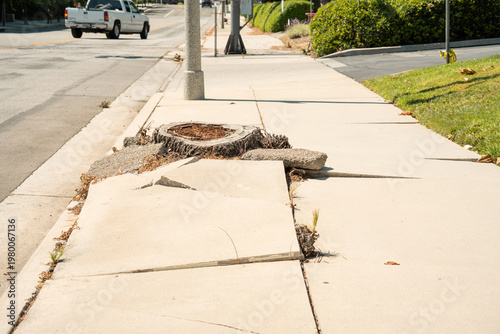 Cuadro en lienzo Damaged sidewalk with tree stump and cracked concrete slabs