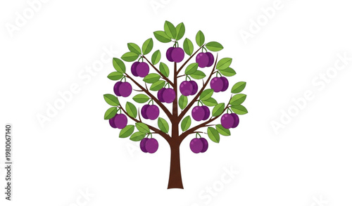 Stylized plum tree vector illustration flat botanical fruit design