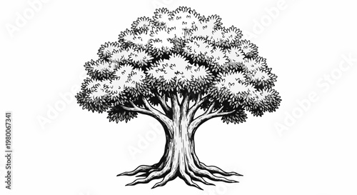 A detailed ink sketch of a large deciduous tree with a thick trunk and sprawling roots