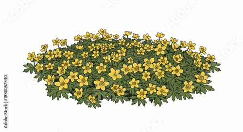 A dense cluster of small yellow flowers with dark green, lobed leaves