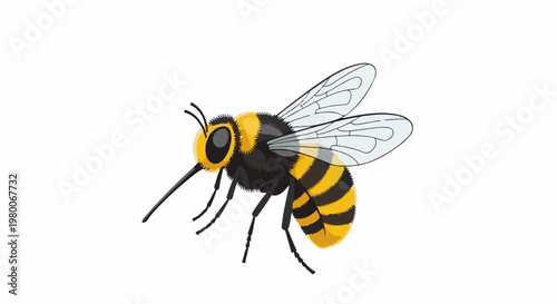 A detailed illustration of a fuzzy bee with black and yellow stripes, wings, and antennae