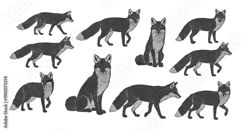 Collection of diverse fox illustrations in various poses rendered with a unique stippling technique against a clean white background showcasing wildlife artistry and design