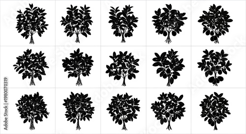 Collection of black silhouette fruit trees with visible fruits isolated on white background ideal for design elements and educational resources representing agriculture and nature