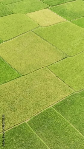 Where Nature Meets Endless Productivity