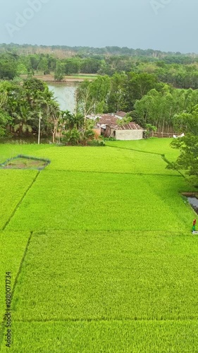 Serenity Of Agriculture From The Sky