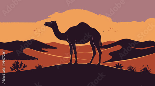 Camel standing on a desert hill.