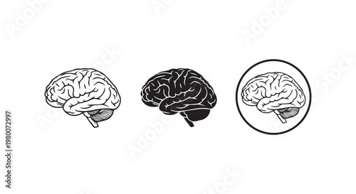 Set of human brain icons in various graphic styles isolated on white background depicting neural anatomy and mental health.