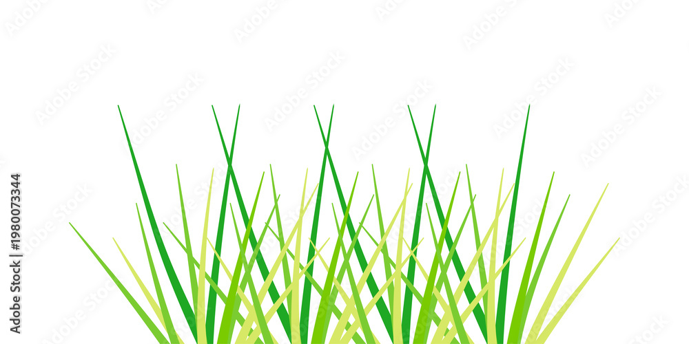 Naklejka premium Fresh green grass isolated on transparent background. Grass field close-up. Green grass meadow. Nature landscape.