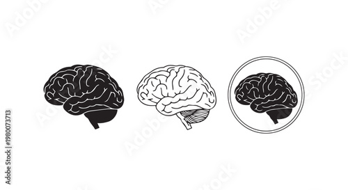 Human brain icons showing anatomical structure in three styles including solid line and circled versions for medical use.