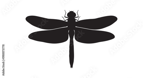 Dragonfly silhouette with wide wings spread isolated on white background representing nature insect biology and summer fauna.
