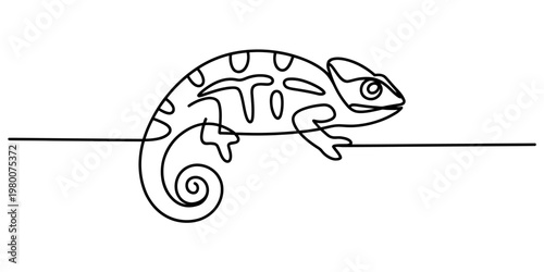 Minimalist continuous line drawing of a chameleon lizard with a curled tail on a white background Vector, illustration