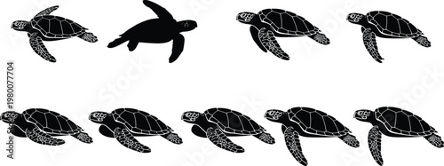 sea, turtle, silhouette, marine, animal, ocean, wildlife, black, aquatic, reptile, swimming, nature, conservation, underwater, tropical, vector, illustration, set, design, collection