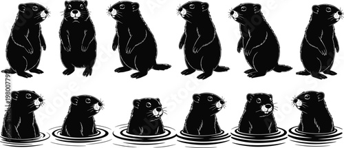 Otter, silhouette, animal, wildlife, aquatic, cute, standing, swimming, water, black, illustration, nature, character, collection, poses, playful, river, mammal, design, set