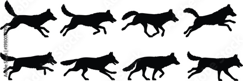 Wolf, silhouette, running, animal, wildlife, canine, motion, pack, black, illustration, nature, predator, movement, speed, hunting, forest, wild, dynamic, collection, action