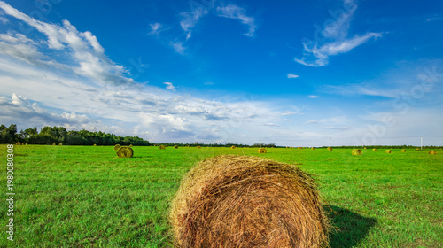 Golden bale rests on vibrant green grass