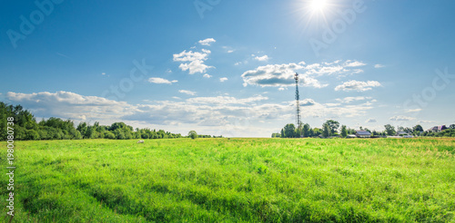 Vast green field stretches under bright blue sky