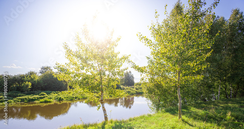 Wallpaper Mural Sunlight glows through leafy branches above calm water Torontodigital.ca