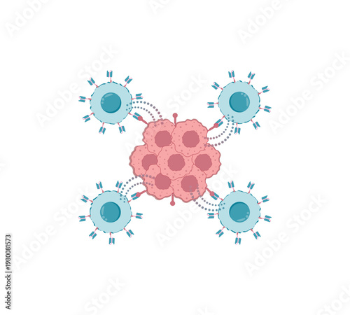 CAR T-cell therapy. Chimeric antigen receptor T cell, CAR T cell, for use in immunotherapy. Genetic engineering. Chemotherapy. vector illustration.