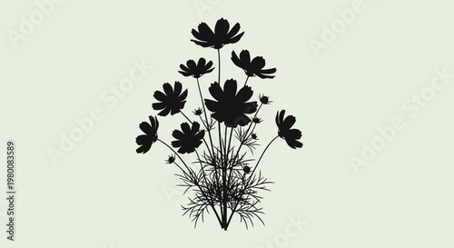 Silhouetted bouquet of delicate cosmos flowers with detailed foliage against a neutral soft pastel green background creating an elegant and minimalist artistic composition