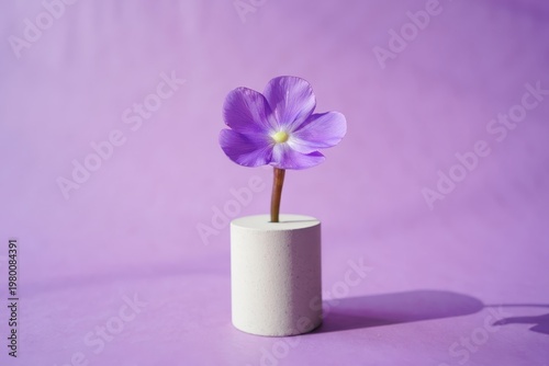 Single purple flower in a small white vase on a matching purple background with soft lighting