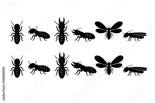 Set of Black Termite Insect Silhouettes Showing Different Castes Including Worker, Soldier with Large Mandibles, and Winged Alate Reproductive Forms in Top and Side View Profile on White