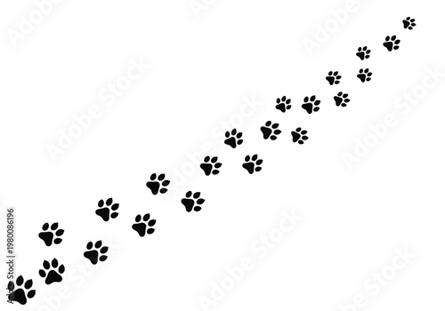 A diagonal trail of black paw prints moving across a clean white background.