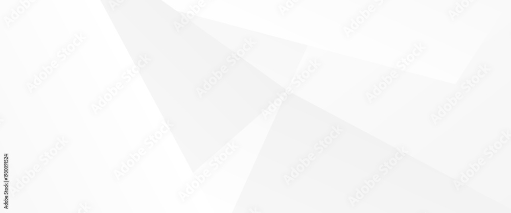Obraz premium Abstract modern white and grey geometric diagonal line technology concept minimal vector