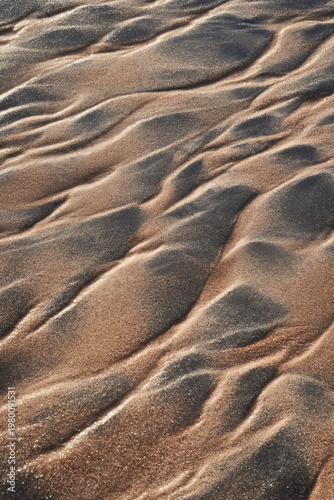 Detailed ripple patterns on wet sand beach. Textured coastal shoreline at sunset. Natural abstract landscape for environmental photography and nature backgrounds. vertical format