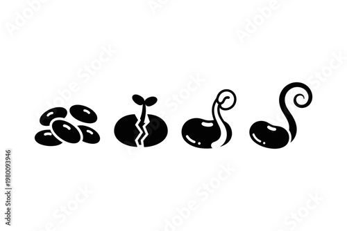 Bean Sprouting Stages Icon Set