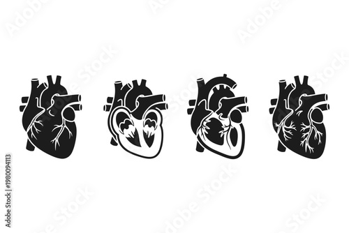 Human Heart Anatomy Icons