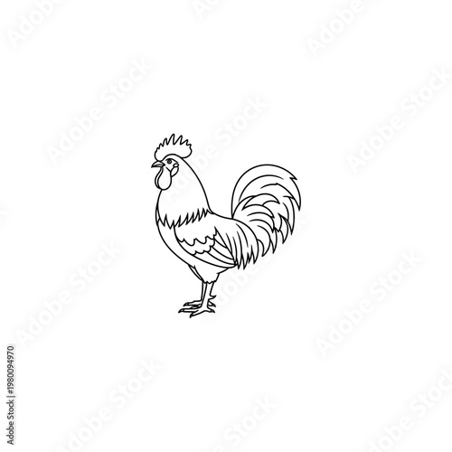 Rooster standing on one leg proudly.