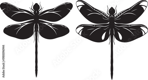 Dragonfly Duo Silhouette: A stunning silhouette of two dragonflies, showcasing the intricate detail of their wings and body against a clear backdrop.