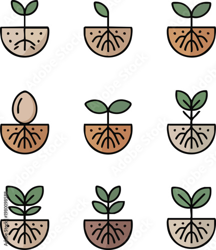 Plant Growth Stages Vector Icon Set