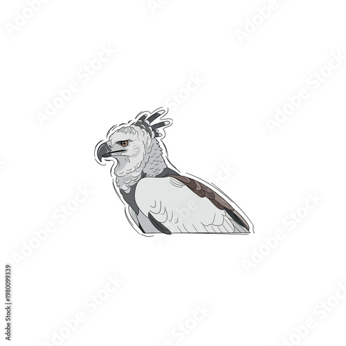 Vulture Bird Animal Profile View.