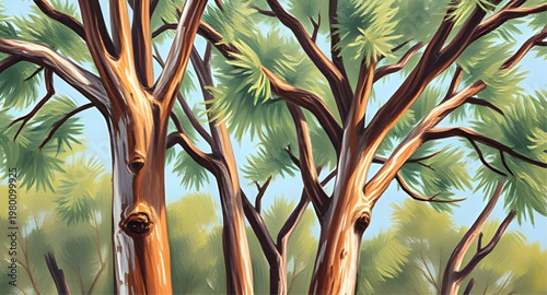 tree outline illustration, forest outline illustration, woodland outline illustration, nature outline illustration, landscape outline illustration, scenery outline illustration, greenery outline illus