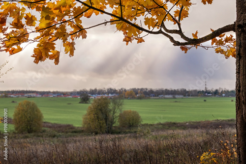 natural autumn landscape aligned with the seasonal concept.