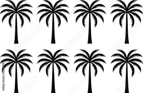 Black palm tree silhouettes on white background