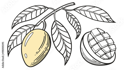 A single ripe mango hangs from a branch with leaves, alongside a cut mango revealing its diced flesh.