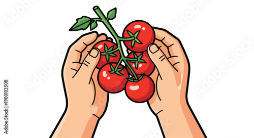 Close-up of human hands holding a cluster of fresh red cherry tomatoes on the vine against a plain white background under bright even studio lighting.