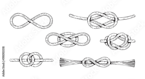 Set nautical rope knots vector black line art illustration hand drawn various design isolated on white